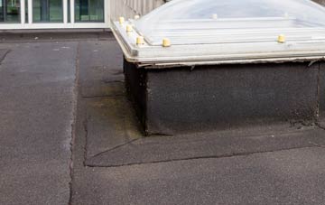 disadvantages of Blenheim flat roofs