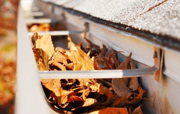 Blenheim gutter cleaning companies