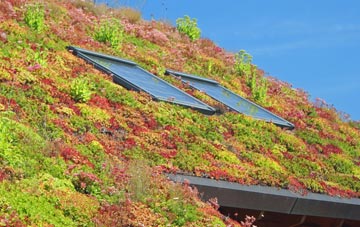 Blenheim living roof systems