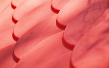 Blenheim plastic roof costs