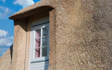 Blenheim thatch roof disadvantages