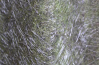 Blenheim fibreglass roof work