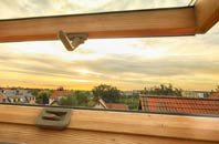 rated Blenheim roof window companies